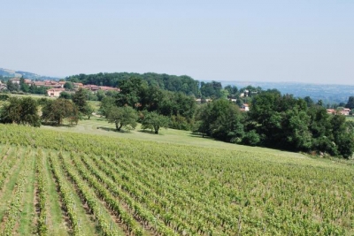 'Domaine mont saint jean' en Rhone Alpes
