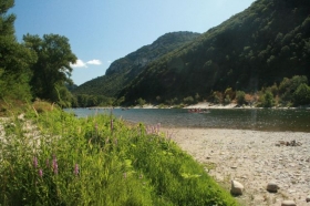 Camping 'Camp des gorges' à Vallon pont d'arc