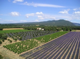 Gîte rural 'Gite de la pellegrine "les Frigoules"' à Montbrison sur lez
