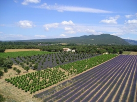 Gîte rural 'Gite de la pellegrine "les Frigoules"' à Montbrison sur lez