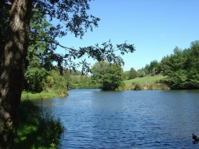 Camping 'Camping le chambourlas' à St vincent de durfort