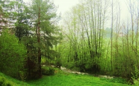 Gîte rural,  chambres d'hôtes  'Tilly's' à Le hohwald