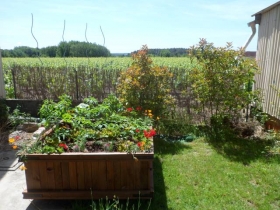 Gîte rural 'Gîte de la pilaudière' à Thésée