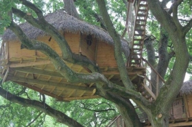 Cabanes dans les arbres 'Chateau de la grande noë' à Moulicent