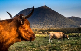 Gîte rural 'Gite des volcans' à Olby