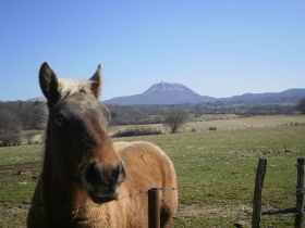 Gîte rural 'Gite des volcans' à Olby