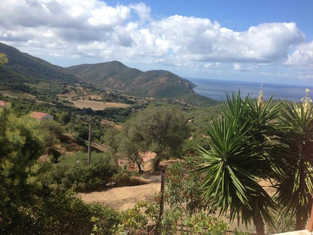 Photo Chambre d'hte Ajaccio La maison de nos vacances prs d... 