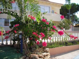 Studio / Appartement 'Apartamentos renato' à Calpe   province d'alicante