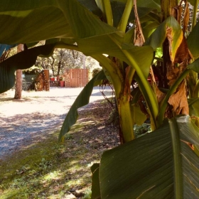 Gîte climatisé 5 personnes 'Les jardins de valaurie' à Anduze