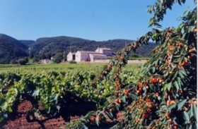 Maison / Villa 'La bastide du prioura 2' à Ménerbes